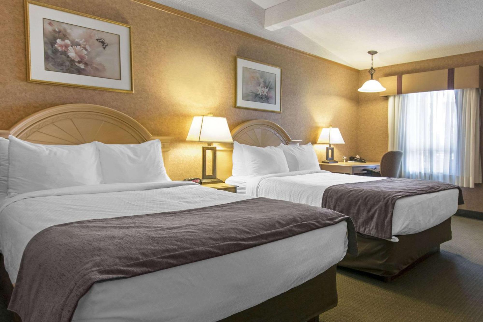 Flamingo Hotel Medicine Hat Dış mekan fotoğraf
